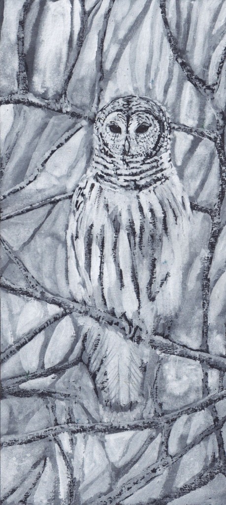 Owl